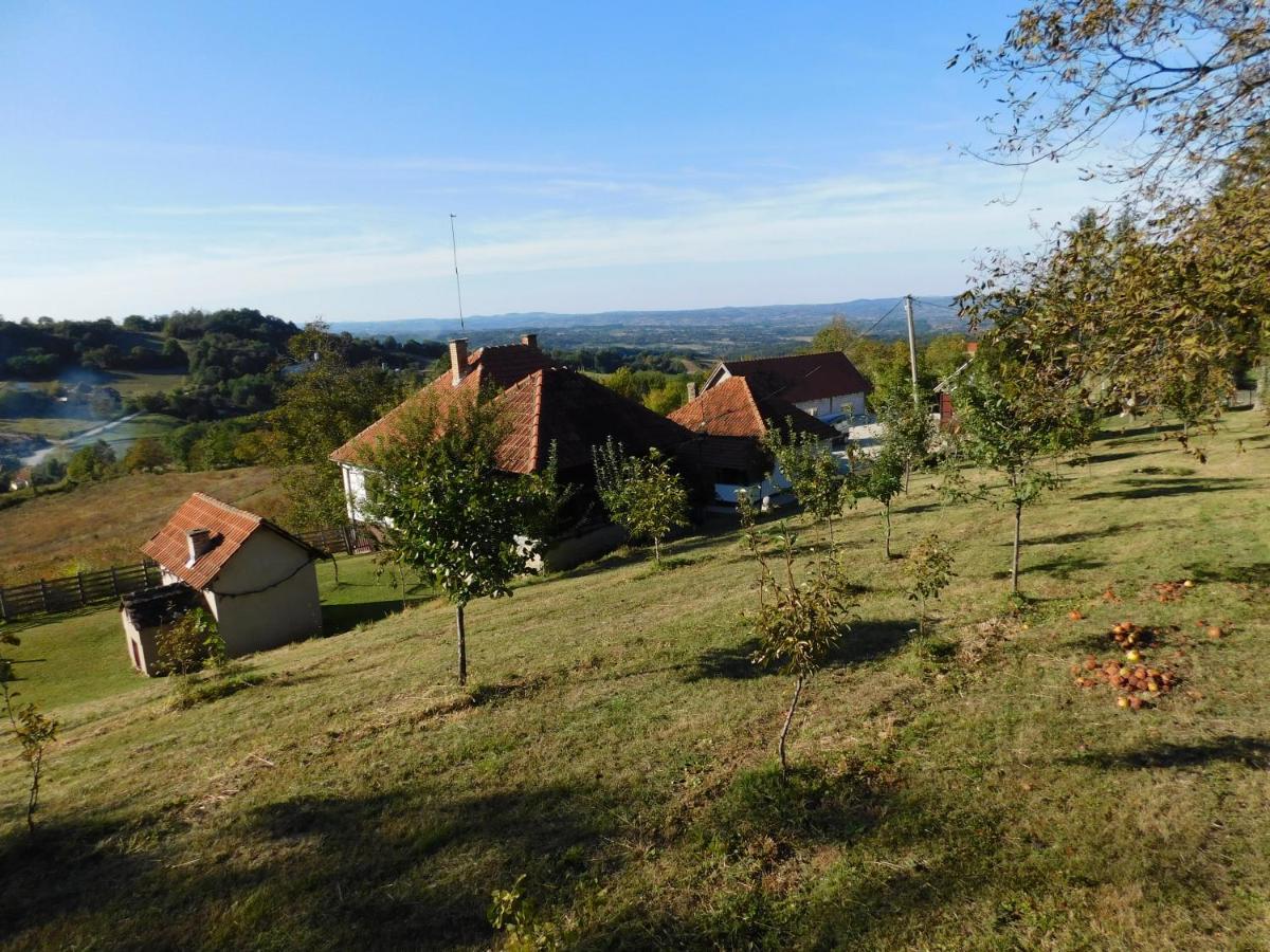Daire Ranc Sretenovic Mionica
