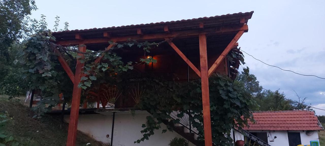 Daire Ranc Sretenovic Mionica