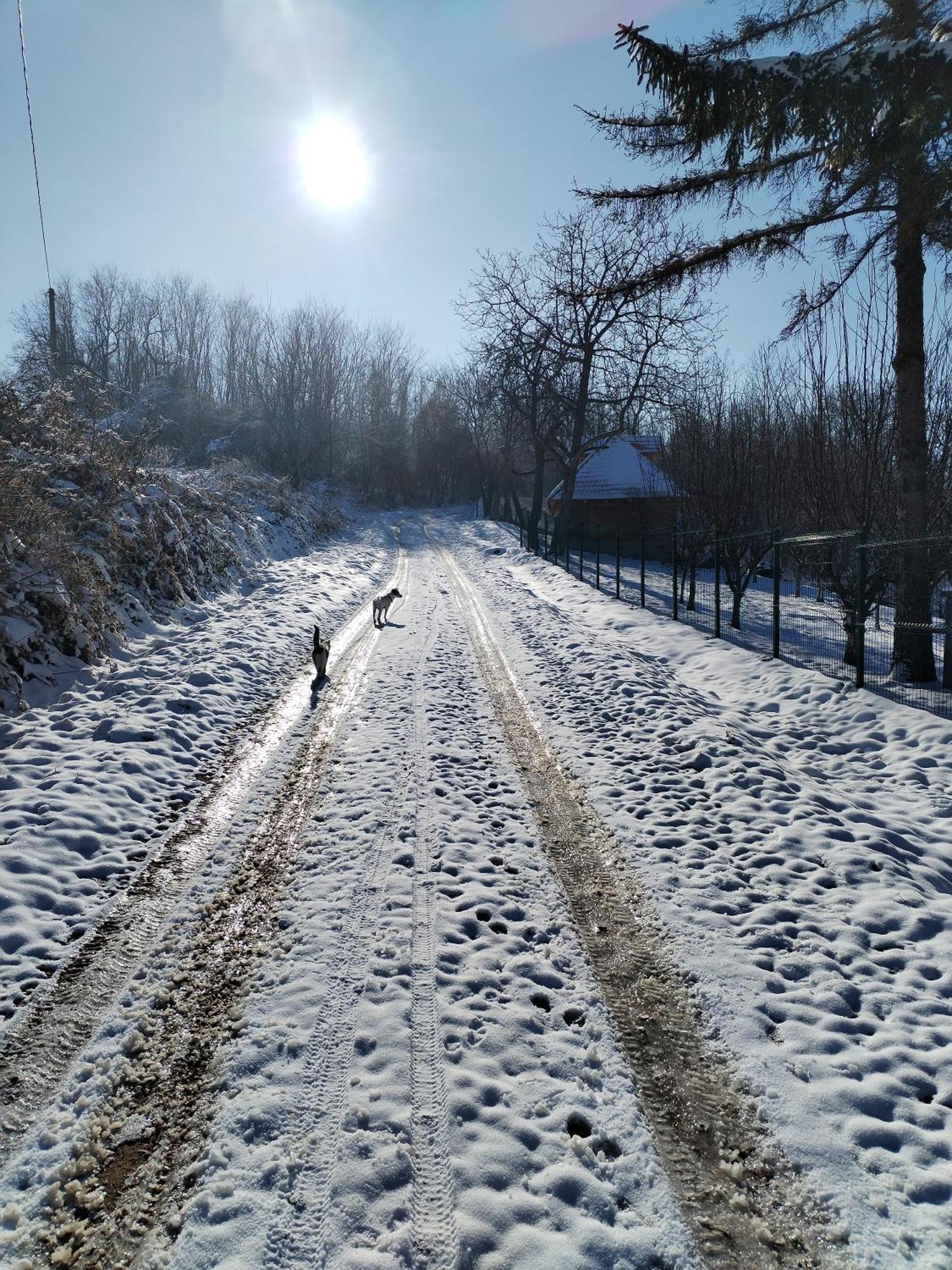 Ranc Sretenovic Daire Mionica